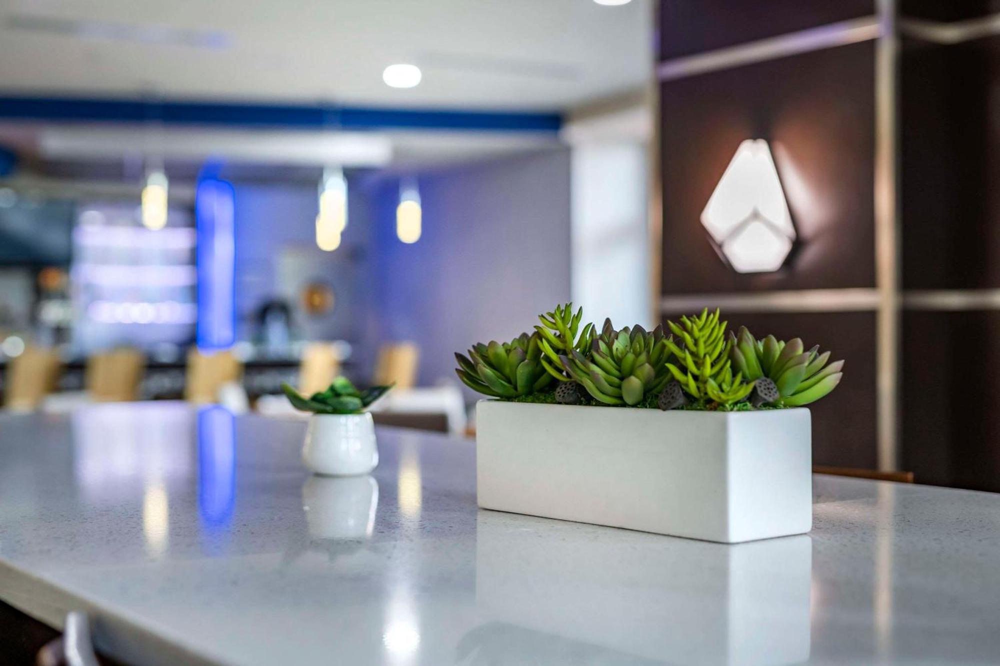 Cambria Hotel Ft Lauderdale, Airport South & Cruise Port Dania Beach Extérieur photo